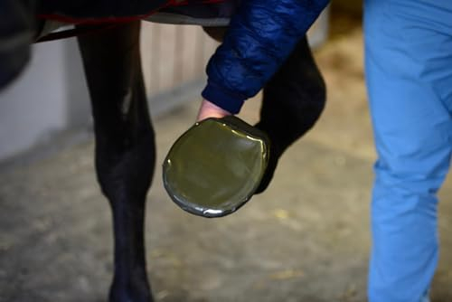 Kentucky - Hufverband tape - 5 Stück