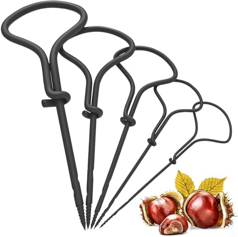 5 Pezzi Set Trapano per Castagne, 1,5-5 mm Trapano Manuale con Impugnatura, per Artigianato in Legno e Creazione di Castagne e Decorazioni Autunnali