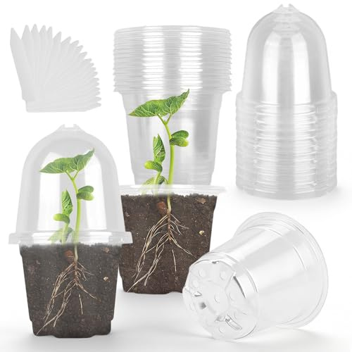 Riisoyu 20 Pièces Godet Semis Pot Transparent Plante, Pots Orchidées Clairs avec Couvercle et étiquettes 9cm Pots de Semis de Fleurs avec Trous de Drainage pour Intérieur, Extérieur, Jardin
