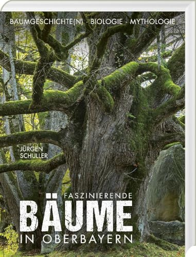 Faszinierende Bäume in Oberbayern: Baumgeschichte(n) - Biologie - Mythologie