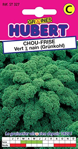 Graines de Chou Frisé 1/2 Nain - Kale - 2 grammes