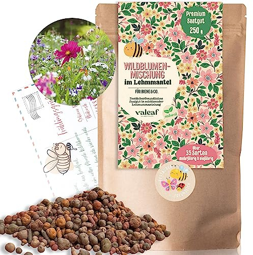 Wildblumensamen im Lehmmantel 250 g - Blumenwiese Samen mit Vogelschutz - Bienenfreundliche Wildblumenmischung für bunte Blütenpracht