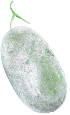 YARNOW Courge De Cire Artificielle Ornement pour Maison Et Cuisine Accessoire Réaliste pour Décoration Intérieure