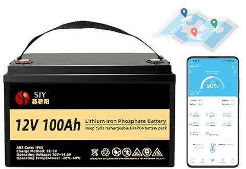 SaiJiaoYang 12V 100Ah LifePO4 Battery with Bluetooth and Charger, Build-in 100A Smart BMS up to 4000+ Deep Cycle Grade A Lithium Battery Perfect for Off-Grid, RV, Solar System, Boat,Camper