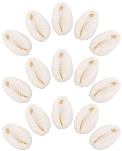 SOIMISS 40 Stück Muschel Anhänger Charms Diy Schmuck Zubehör Für Halskette Armband Ohrring Und Schlüsselanhänger Conch Shell Charm Set Für Basteln Und Dekorieren