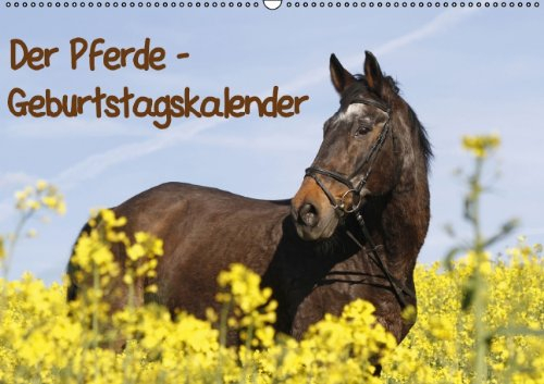 Pferde / Geburtstagskalender / AT-Version (Wandkalender immerwährend DIN A2 quer): Immerwährender Geburtstagskalender (Monatskalender, 14 Seiten) ... [Nov 19, 2013] Lindert-Rottke, Antje