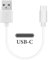 GEEKRIA USB Earbuds Short Charger Cable Compatible with Skullcandy, Soundcore, Sennheiser, SAMSUNG, HUAWEI, ATH, Shokz, USB to USB-C Replacement Power Charging Cord (1ft / 30cm)
