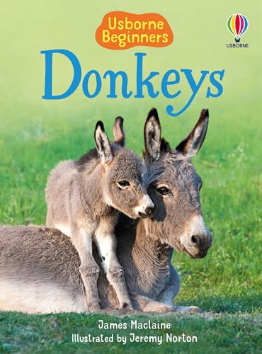 Usborne Publishing Ltd