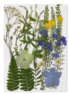Ortensia di seta con tronco, 1 set di vere decorazioni floreali essiccate, fiori pressati per la creazione di gioielli fai da te, fiori secchi in resina (verde)
