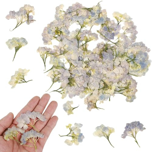 Lot de 100 fleurs d'hortensia séchées - Bleu naturel - Pour travaux manuels, résine et décorations, décorations pressées - Fleurs artisanales