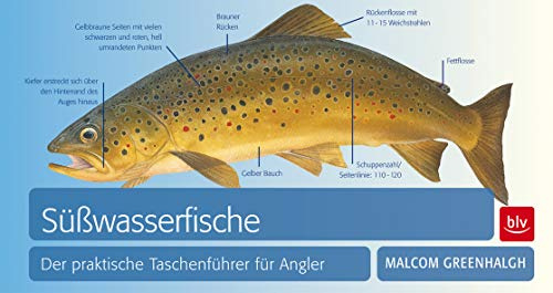 Süßwasserfische: Der praktische Taschenführer für Angler (BLV Angelpraxis)