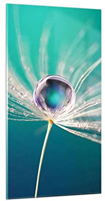 Bilder auf Glas 55x100cm Glasbild Pflanze Natur Groß Wanddeko Bild im Glas Schlafzimmer Küche Deko Wandbilder Dekoration Wohnzimmer Modern Wall Decor Glasdruck Wand Kunstdruck Art GPA55x100-3991