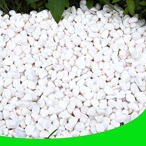 CJGQ Ciottoli bianchi per piante da giardino, 8,2 kg, rocce bianche e ghiaia, pietre decorative per paesaggistica, 1/2