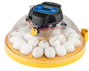 Brinsea Maxi 24 EX Egg Incubator with Automatic Humidity Control and Egg Turning for Hatching 24 Chicken, Duck, or Other Eggs, Optimal Flexibility with Mix & Match Sizes