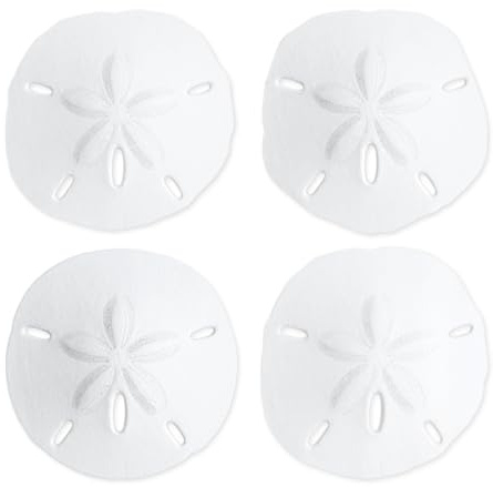 Nautical Crush Trading Sand Dollar | Dollars réel de Sable 3 à 3 1/2 (Set of 4) | Sand Dollar Shells | TM De Plus Gratuit Nautique Ebook par Joseph Pluies