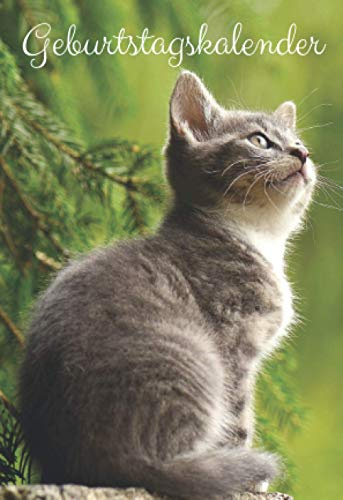Geburtstagskalender: Geburtstagskalender Buch jahresunabhängig zum Ausfüllen, klein A6