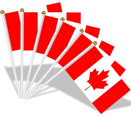 AhfuLife Petit Drapeau Canada - 15Pcs Mini Drapeaux Canada avec Poteau Solide Blanc de 30cm pour Décoration Jardin Bar Celebration Football Féminin, Coupe du Monde, Fête Nationale