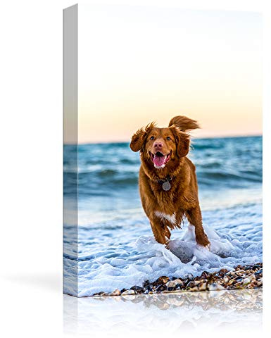 NWT Custom Canvas Prints with Your Photos for Pet/Animal, Personalized Pictures to Canvas for Wall Framed 10x8 inches