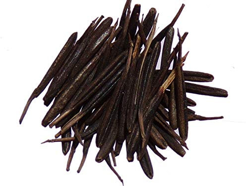 Cerfeuil Commun Bio - 0,5 grammes - Anthriscus Cerefolium L. Hoffm. - Chervil - SEM02