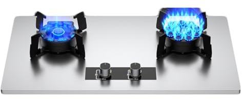 Propane Stove,2 Burners Portable Propane Stove,Stainless Steel Gas Cooktop,Maximum 29002BTU for Food Trucks and Family Restaurants (Color : LPG, Size : Style 1)