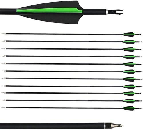 biubiusot 12 Stück Carbonpfeile 30 Zoll 500 Spine Bogenpfeile Jagdpfeile Pfeile Pfeilspitze für Recurvebogen Compound Bogen (12 Pfeile)