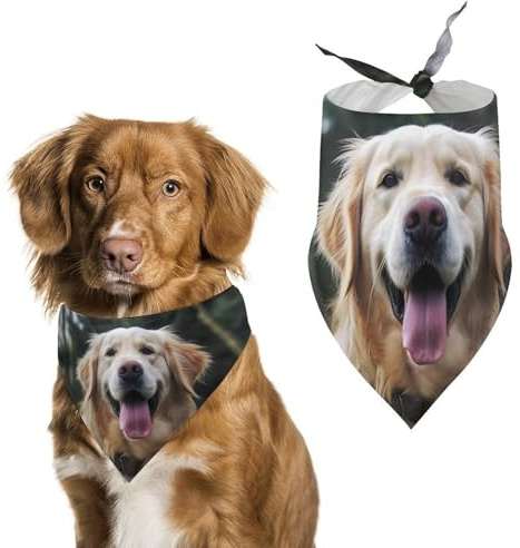 Lustiges Golden Retriever Hundehalstuch, dreieckig, waschbar, Polyester, niedliches Haustier-Bandana für mittelgroße und große Hunde, Welpen und Katzen