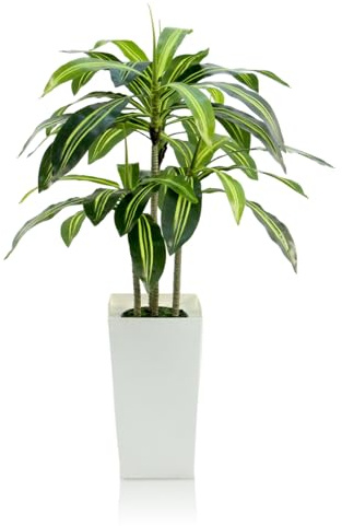 GOVIRAYE 120cm Künstlicher Drachenbaum im weißen Topf – realistische Zimmerpflanze wie echt, wetterfest & pflegeleicht, Kunstpflanze für Wohnzimmer, Büro, Balkon, Moderne Deko oder Geschenk
