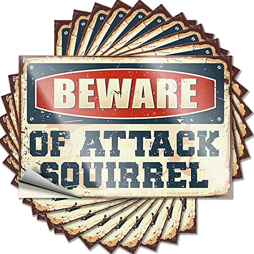 Adesivi per auto Beware of Attack Squirrel adesivi divertenti 10 pezzi cartelli divertenti per casa bar ragazze (8 x 12 cm)