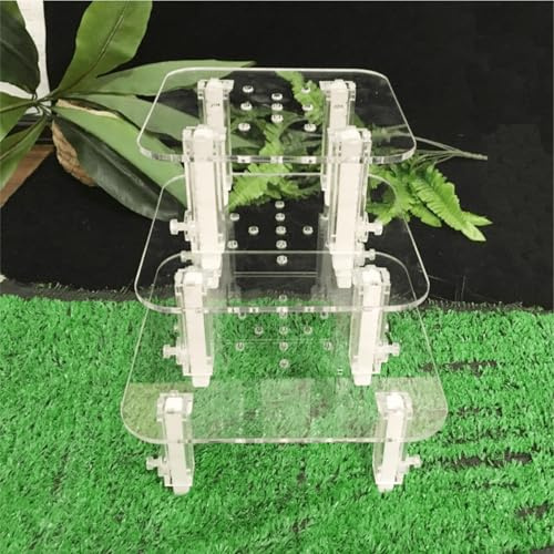 Hapivida Protein Skimmer Bracket Adjustable Heightening Accessories Acrylic Material for Aquarium Fish Tanks Household Office Sizes S M L (Large egg stand)