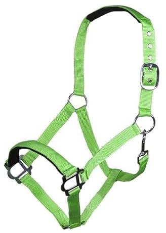 HKM Sydney Style weich unterlegt Halfter, Neon Grün, Shetty