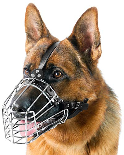 Hundemaulkörbe aus verchromtem Metall, Drahtkorb, verstellbare Lederriemen, Deutsch