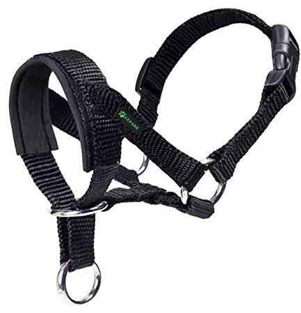 Hundehalfter Mit Gepolstertem Stoff, Halfterhalsband Für Hunde, Verstellbar Und Ziehen verhindert. (M,Schwarz)