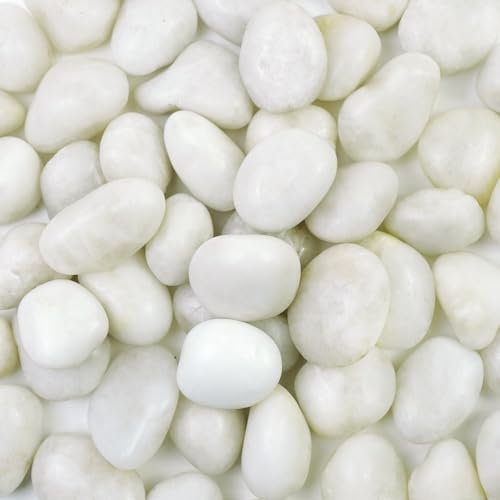 Ciottoli bianchi decorativi per piante da 2,3 kg – Pietre di roccia bianca lucida per fioriere, ghiaie, acquari, vasi, vasi, rocce da giardino e pietre decorative per esterni