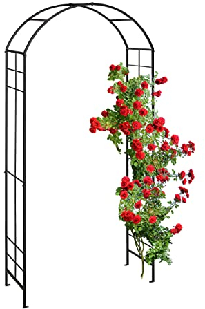 Relaxdays Arco per Rose Rampicanti da Giardino, Sostegno per Piante, HLP: 224 x 110 x 41 cm, Supporto in Ferro, Nero
