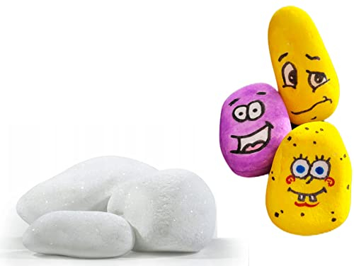 Generisch Steine zum Bemalen Schneeweiß Handverlesen, 4-8cm, 2kg, Glatte Kieselsteine für Kinder, Deko Steine für Kunsthandwerk & DIY