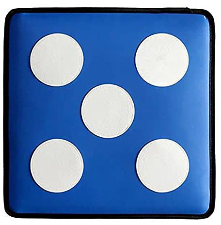 Fecht-Trainingsschwert-Zielscheibe mit PU-Lederbezug, fünf Bullseye-Ziele, ideal für Erwachsene und Kinder, Fechtpraxis, starkes Anti-Stab-Material, 40 cm x 40 cm