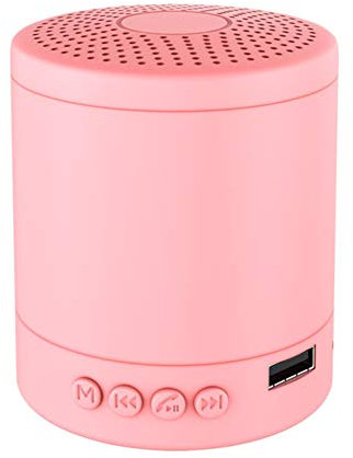 Leikance Mini altoparlante bluetooth, altoparlante stereo senza fili mini colonna musica basso 5W altoparlante esterno