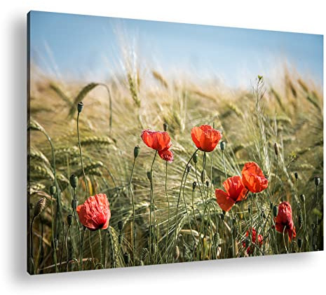 Leinwandbild Zarte Mohnblumen im Getreidefeld – Poesie der Natur Format: 120x80 cm XXL Kunstdruck Bild auf Keilrahmen/Wandbild/Wohnzimmer Deko