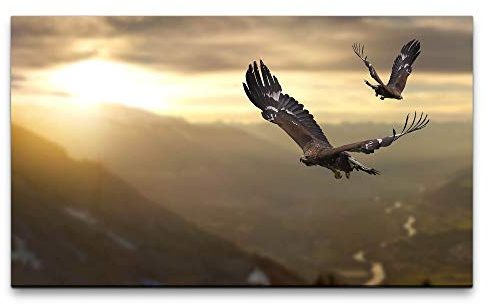Bilder XXL Adler in einer Gebirgslandschaft 120x70cm Wandbild auf Leinwand