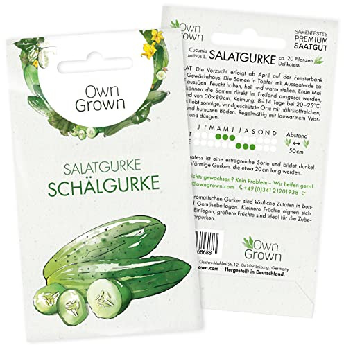 Salatgurken Samen Freiland: 20 Gurken Samen für Schälgurke Delikatess – Saatgut Gemüse für Gurke Pflanzen – Gurken Saatgut – Gemüse Samen OwnGrown, keimglas für sprossen