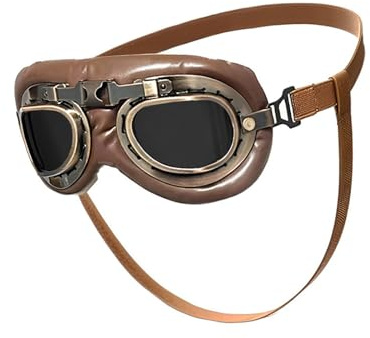 Fluxioxtna Schutzhund Sonnenbrille Mit Antiker Ästhetischer Kratzfester PC Bequem Für Strandwandern Antiquitätenstil Haustier Sonnenbrille