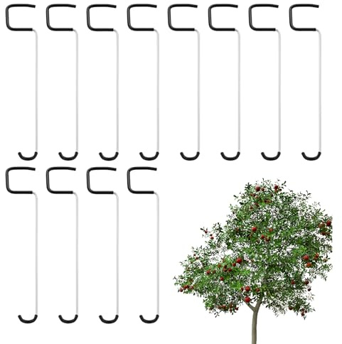Lembeauty Écarteur de Branches - Système de Soutien et Écartement | Accessoires de Jardinage Robuste pour Taille Pommier Pêcher Oranger et Façonnage des Arbres Fruitiers