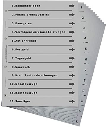 Ordnerregister für Finanzen, DIN A4, lichtgrau (10er Set)