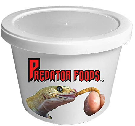 Predator Foods Bulk Live Mealworms - 250 Count (Small ~.25)
