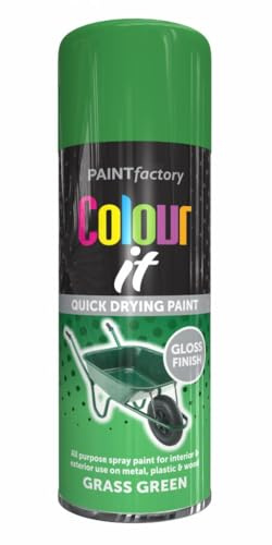 RAPIDE PF COLOUR IT Spray Paint Gloss Grass Green 250ml - Quick Drying Gloss Finish for Metal, Plastic, and Wood - Interior & Exterior Use