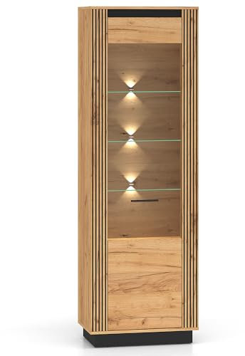 Lomadox Vitrine 65 cm breit inkl. Beleuchtung Vitrinenschrank Standvitrine Wohnzimmer Esszimmer Schrank modern in Eiche mit schwarz