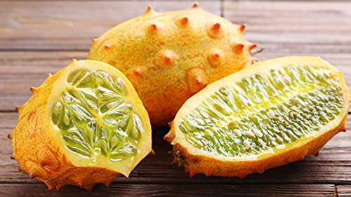 PAGANO DOMENICO E FIGLI SEMENTI DAL 1954