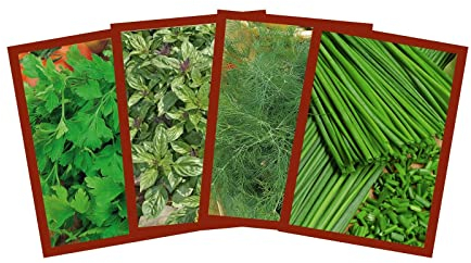 Samenshop24® Küchenkräuter Set für die gute Küche | Kräutermischung | Saatgut Sortiment | 4 verschiedene Kräutersamen | Petersilie, Schnittlauch, Basilikum, Dill