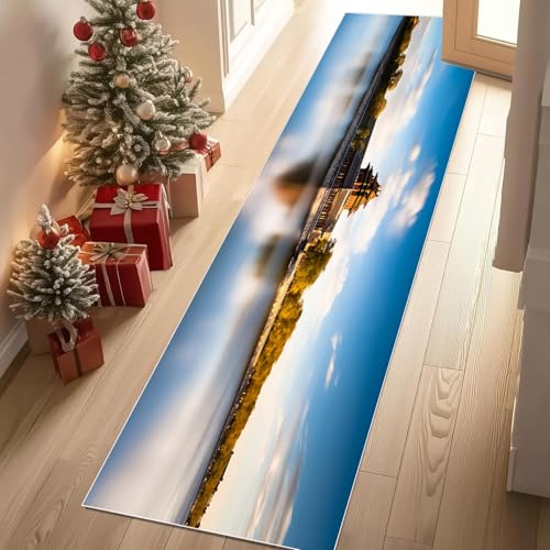 Meugesoi Natur Scenery Teppich Flur Läufer Orientalisch Architektur Teppichläufer Küchenläufer 80 X 250 cm Carpet rutschfest Waschbar für Bettvorleger Flur Küche Waschküche