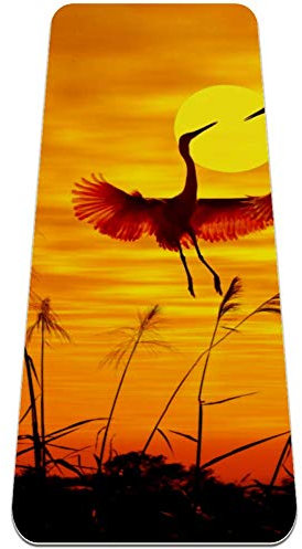 Eslifey Yogamatte mit fliegenden Vögeln und Sonnenuntergang, dicke rutschfeste Yogamatte für Frauen und Mädchen, weiche Pilates-Matte, 183 x 61 cm, 6,4 mm dick